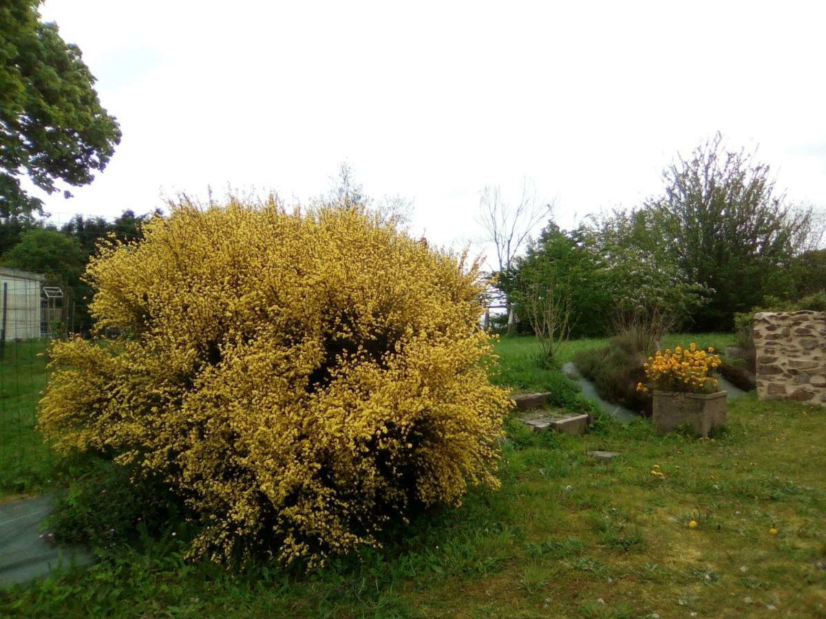 La ferme de la Baconnerie Villa Sainte-Marguerite-d'Elle Esterno foto