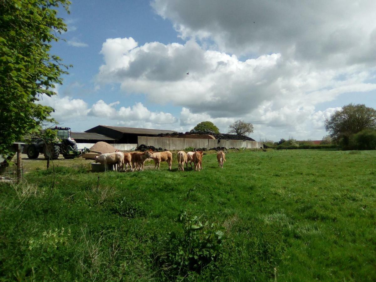 La ferme de la Baconnerie Villa Sainte-Marguerite-d'Elle Esterno foto